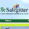 Rund 15,7 Millionen Seitenaufrufe verzeichnete die Website der Stadt Salzgitter im Jahr 2017.