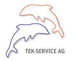 TEK-Service AG