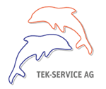 Logo TEK-Service AG