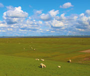Kreis Nordfriesland: 90 Prozent der Windparks sind genossenschaftlich organisiert.