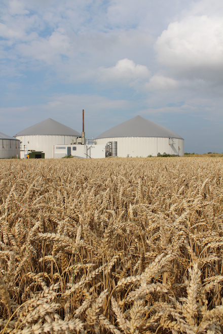 Der Industrieverband Biogasrat+ übt scharfe Kritik an der Energiepolitik der Bundesregierung. 