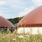 Biogasanlage Hallerndorf: Kleegras macht mehr als die Hälfte des verwendeten Rohmaterials aus.