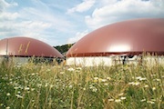 Biogasanlage Hallerndorf: Kleegras macht mehr als die Hälfte des verwendeten Rohmaterials aus.