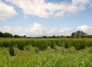 Das Land Baden-Württemberg erprobt, wie sich die Nachhaltigkeit für das Biosphärengebiet Schwäbische Alb verbessern lässt.