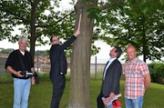 In Limburg an der Lahn werden alle städtischen Bäume in einem elektronischen Kataster erfasst.