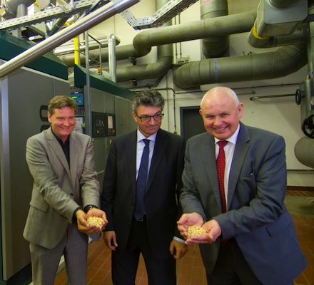 Im Freiburger Stadtteil Landwasser ist ein innovatives Holzervergaser-Blockheizkraftwerk in Betrieb gegangen.