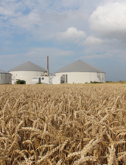 In Thüringen soll Windstrom mithilfe von Biogas speicherfähig gemacht werden. 