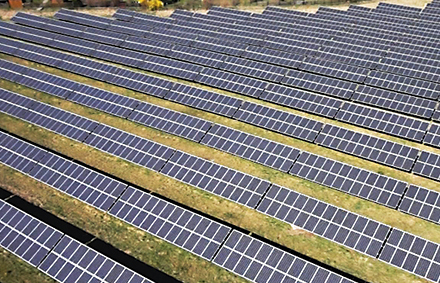 Geld vom Schwarm: Solarpark Langenbogen wird per Crowdfunding refinanziert.
