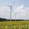 Unternehmensbündnis fordert ein neues Direktvermarktungsmodell für Strom aus Wind- und Solaranlagen.