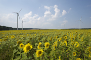 Unternehmensbündnis fordert ein neues Direktvermarktungsmodell für Strom aus Wind- und Solaranlagen.