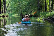 Im Spreewald soll man künftig nicht nur paddeln, sondern auch schnell surfen können.