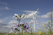 Der Regionalplan Energie soll die Entwicklung von Windrädern auf Flächen jenseits von Naturschutzgebieten lenken.
