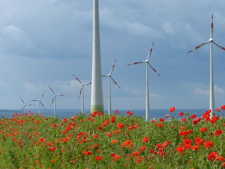 Onshore-Windkraft ist der größte Erzeuger von Ökostrom.