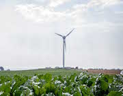 E.ON-Inselnetz: Die Ortschaft Simris in Südschweden wird ausschließlich mit erneuerbaren Energien versorgt.