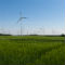 Die Windkraft treibt den Anteil des grünen Stroms im Netz von WEMAG maßgeblich voran. 