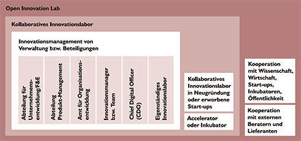 Organisationsoptionen für das Innovationsmanagement.
