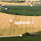 Wildtierportal Baden-Württemberg: Neue zentrale Informationsplattform für Jäger