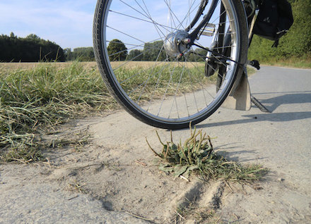 Kreis Soest: Oberflächenschäden können Rad- und Fußgänger ab sofort online melden.