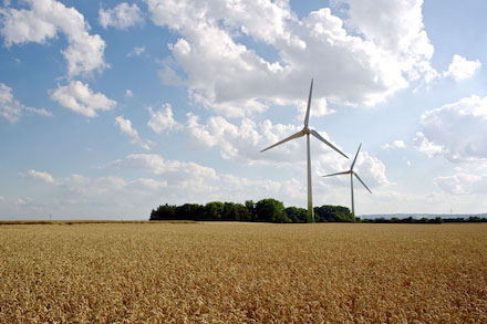 Windpark: Drei Prozent des Umsatzes aus der Stromproduktion sollen direkt in die Gemeindekasse fließen, fordert das Unternehmen Windwärts.
