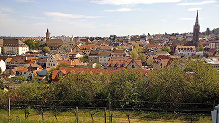 Kreis Bad Dürkheim ist vor Trojanern gut geschützt.