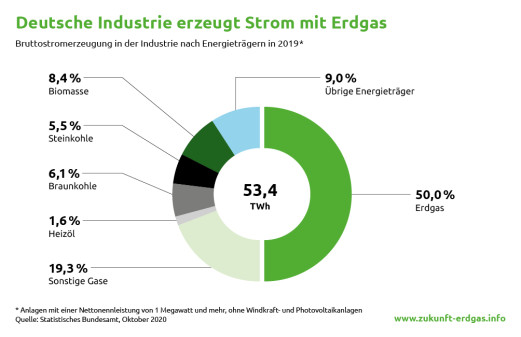 Anteile der Brennstoffe an der Stromerzeugung.