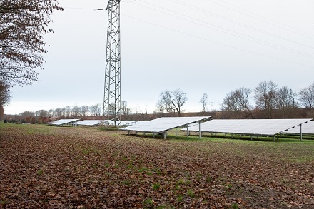 Die 2.027 Solarmodule in Weiden erzeugen genug Energie, um damit rund 215 Haushalte ein Jahr lang mit Strom zu versorgen.