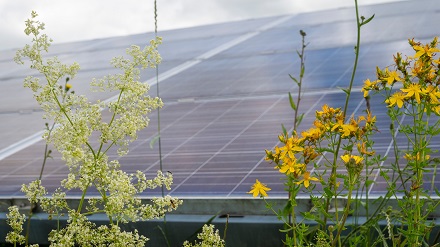 Das PV-Projekt Kreuth in Beratzhausen erhält einen sechs MW leistenden Stromspeicher.