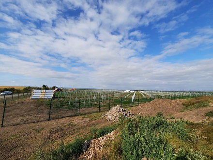 Wird dank Speichern flexibel in der Stromlefierung: Solarpark 
im thüringischen Henschleben.