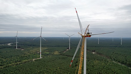 Der größte Trianel-Windpark im brandenburgischen Spreeau kann jährlich 110 Millionen Kilowattstunden Strom erzeugen.