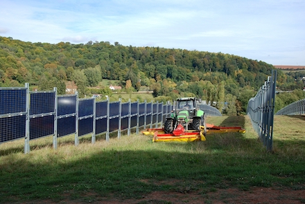 Agri-Photovoltaik: Geringer Flächenverbrauch dank senkrecht aufgeständerter Module.