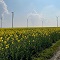 Windpark Königshovener Höhe mit einer Leistung von 67 Megawatt.
