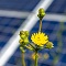 BayWa r.e. hat einen Großauftrag für die Solarkraftwerke Südeifel erhalten.