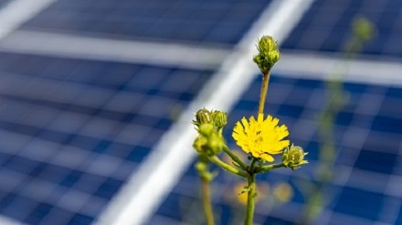 BayWa r.e. hat einen Großauftrag für die Solarkraftwerke Südeifel erhalten.