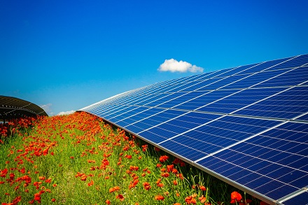 IBC SOLAR ermöglicht Bürgern über eine Plattform eine Beteiligung an Solarparks.