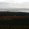 Visualisierung der Floating-PV-Anlage: Blick über den Cottbuser Ostsee-Turm Teichland.