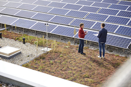 Ein gepflegtes Gespräch vor Photovoltaikanlagen, die dieses Jahr in Baden-Württemberg weiter zunehmen.