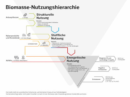 Darstellung der Biomasse-Nutzungshierarchie.