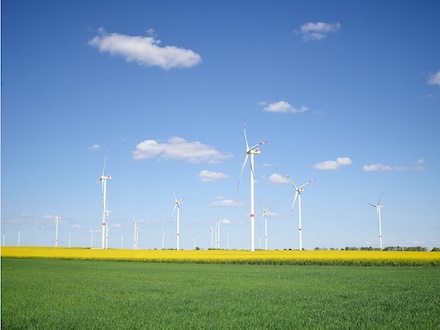 Nutzen statt abregeln: Ein Windpark in der Nähe von Stendal in Sachsen-Anhalt. 