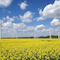 Windpark in Bad Wünneberg im Süden des Landkreises Paderborn.