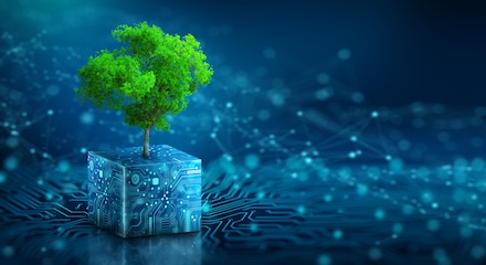 Landesverwaltung Schleswig-Holstein will zum Vorreiter bei Green IT werden. 