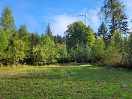 RES Deutschland hat jetzt den Zuschlag für fünf neue Windenergieprojekte im Staatsforst Baden-Württemberg erhalten.