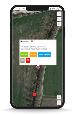 Funde können in der EineStadt-App exakt kartiert und beschrieben sowie Maßnahmen vorgeschlagen werden. 