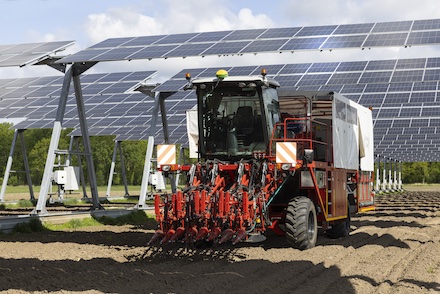Bei Agri-PV-Anlagen bleibt die landwirtschaftliche Nutzung erhalten.