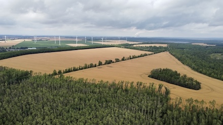 Auf der Halde des Braunkohletagebaus Phönix-Nord soll der Solarpark Langendorf entstehen.