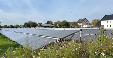 Die Stadtwerke Stralsund errichten die drittgrößte solarthermische Anlage Deutschlands.