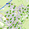 In Homburg erleichtert eine GIS-basierte Online-Plattform künftig die Zusammenarbeit von Bürgern und Verwaltung.