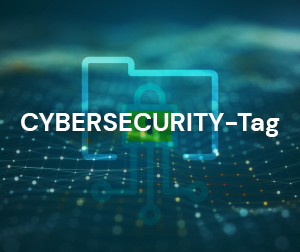 Cybersecurity-Tag 2024